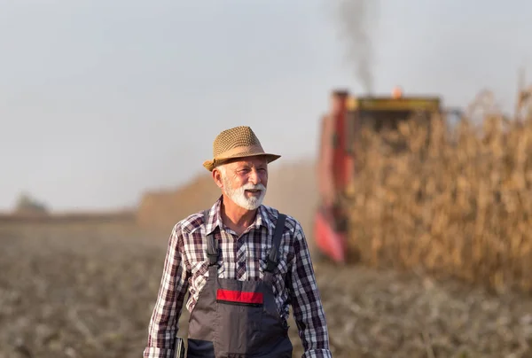 Farmer at corn harvest — Stock Photo, Image