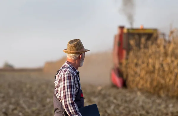 Farmář s notebookem při sklizni kukuřice — Stock fotografie