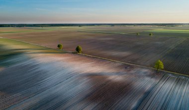 İlkbaharda ovalardaki tarımsal tarlaların insansız hava aracından çekimleri.