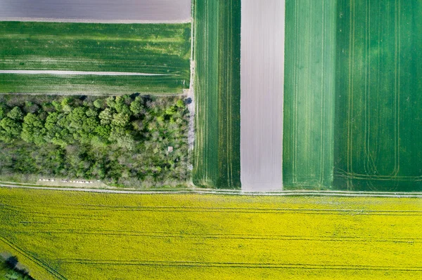 Imagen Aérea Del Campo Agrícola Con Diferentes Culturas Colores Forma —  Fotos de Stock