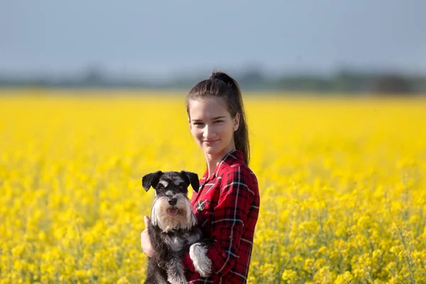 Mooie Tiener Meisje Met Schattige Hond Miniatuur Schnauzer Koolzaad Met — Stockfoto