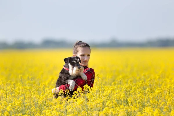 Mooie Tiener Meisje Met Schattige Hond Miniatuur Schnauzer Koolzaad Met — Stockfoto