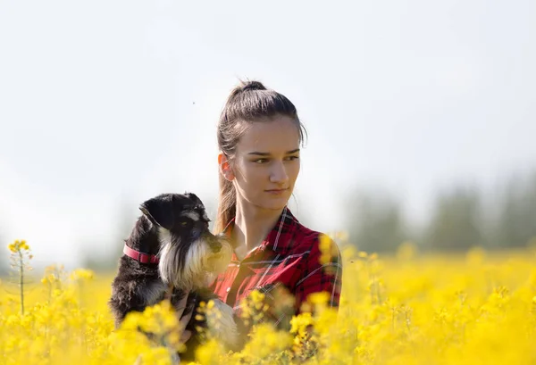 Гарненька Дівчина Підліток Тримає Милий Собака Мініатюрний Шнауцер Ріпаку Жовтими — стокове фото