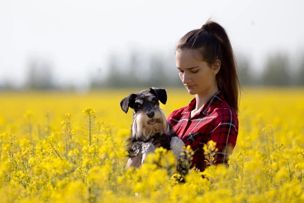 Mooie Tiener Meisje Met Schattige Hond Miniatuur Schnauzer Koolzaad Met — Stockfoto