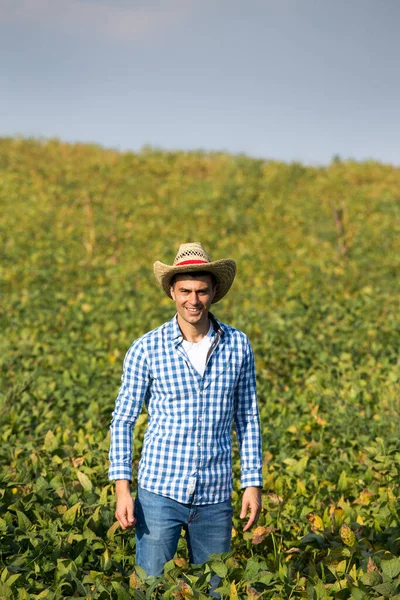 Bonito Agricultor Sorridente Camisa Lisa Com Chapéu Palha Campo Soja — Fotografia de Stock