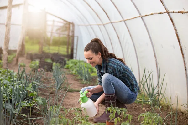 Jordbrukare Kvinna Besprutning Grönsaker Med Kemikalier Växthus — Stockfoto