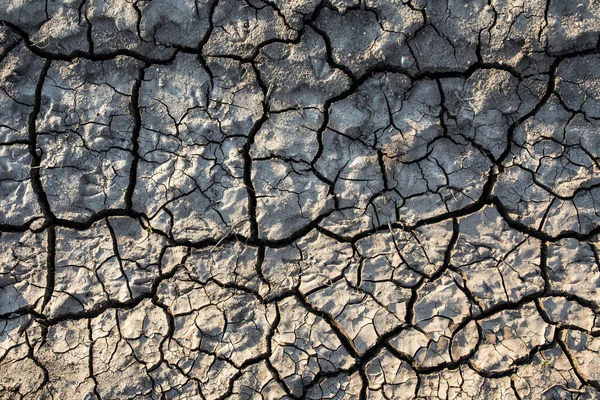 农田中带裂缝的干土地的顶视图 春季的干旱 — 图库照片