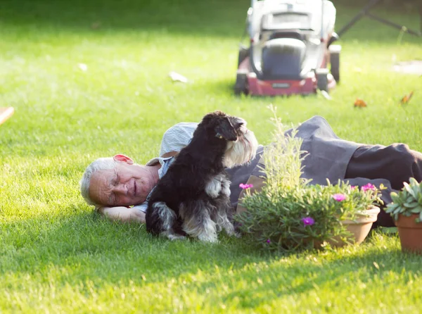 Senior man sleeping on lawn with dog beside flower pots and gardening equipment