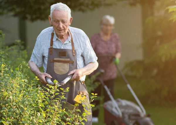 老年人在花园干活 用剪刀修剪树篱 女人在后面割草 — 图库照片