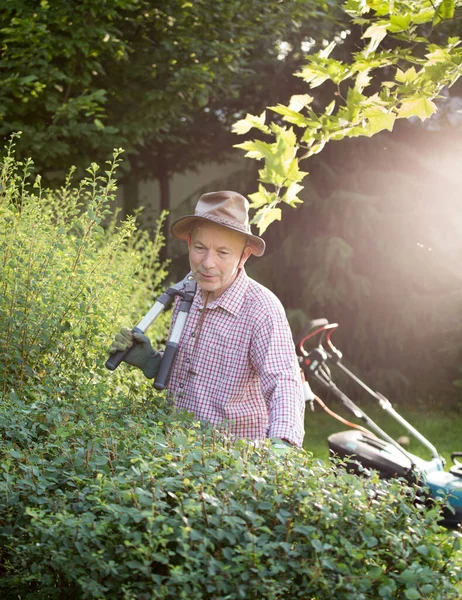 身穿园艺剪子的疲倦男子的画像 站在树篱旁边 背景是割草机 照顾植物 — 图库照片