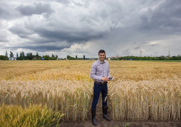 Bell Agricoltore Con Tavoletta Piedi Terreni Agricoli Prova Estate Prima — Foto Stock