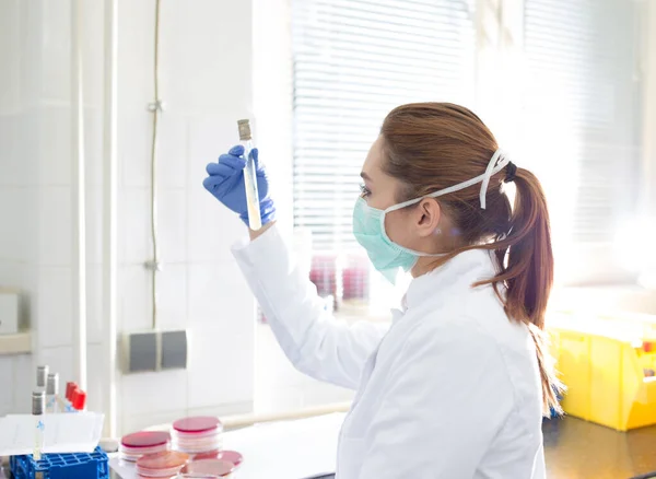 Primer Plano Del Tubo Ensayo Mano Del Biólogo Con Bacterias — Foto de Stock