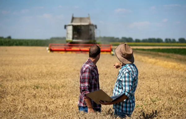 収穫中に小麦畑にノートパソコンが立っている2人の農家 背景で作業する収穫者を組み合わせる — ストック写真