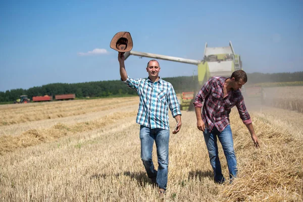 Dwóch Zadowolonych Rolników Spacerujących Polu Pszenicy Podczas Zbiorów Połączyć Kombajn — Zdjęcie stockowe