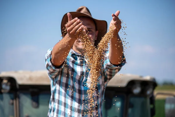 满意的年轻农民坐在田里的拖车里 抛掷收获的麦粒 — 图库照片