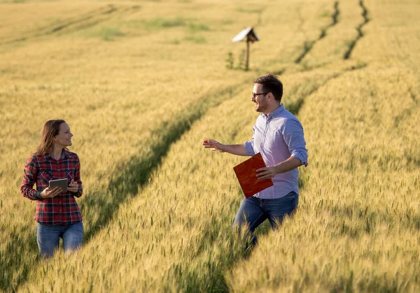 Glückliches Paar Genießt Moment Rapsgerstenfeld Geht Und Lärmt — Stockfoto