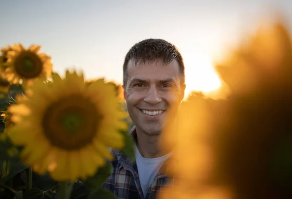 Handsome Farmer Standing Sunflower Field Summer Sunset — Stock Photo, Image