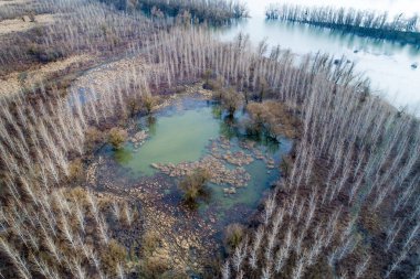 Nehrin yanındaki ormandaki küçük gölün güzel kış manzarasının hava görüntüsü, insansız hava aracından çekiliyor.