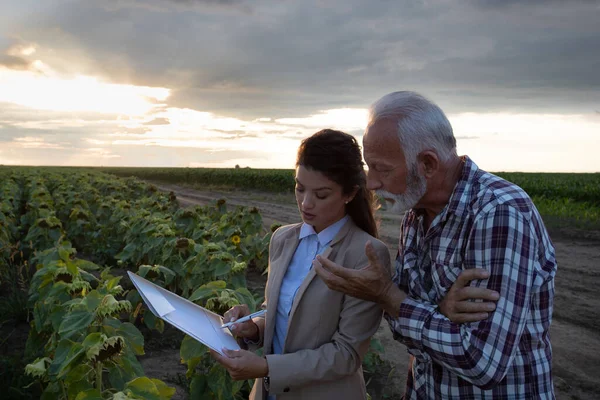 ひまわり畑に立つ高齢農家や若い実業家 夏の保険契約書を読む — ストック写真