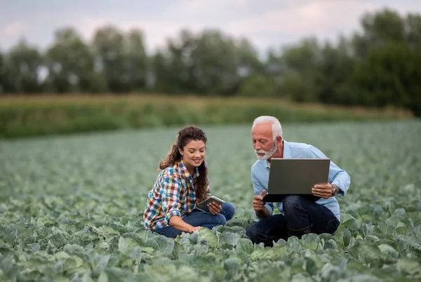 Reife Bäuerin Und Junge Frau Mit Laptop Hocken Gemüsegarten Und — Stockfoto