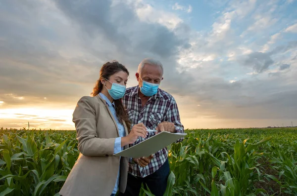 Bäuerin Und Geschäftsfrau Stehen Maisfeld Und Suchen Papiere Unterlagen Unterschreiben — Stockfoto