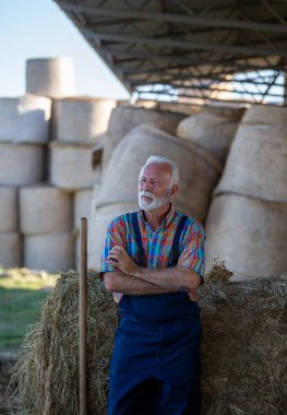 Çiftlikte balyaya ve samanlığa yaslanan kıdemli çiftçinin portresi, sıkı çalışmadan sonra mola veriyor.
