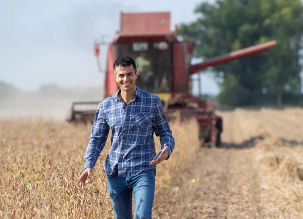 Handsome farmer standing in soybean field and holding tablet while combine harvester working in background