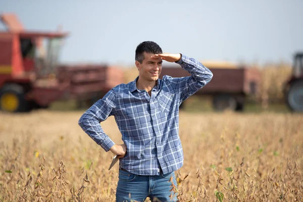 Handsome Farmer Tablet Standing Soybean Field Looking Sun While Combine — Stock Photo, Image