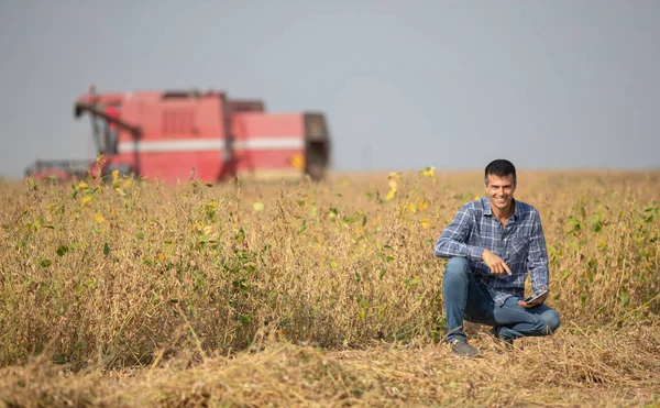 Handsome farmer squatting in soybean field and holding tablet while combine harvester working in background