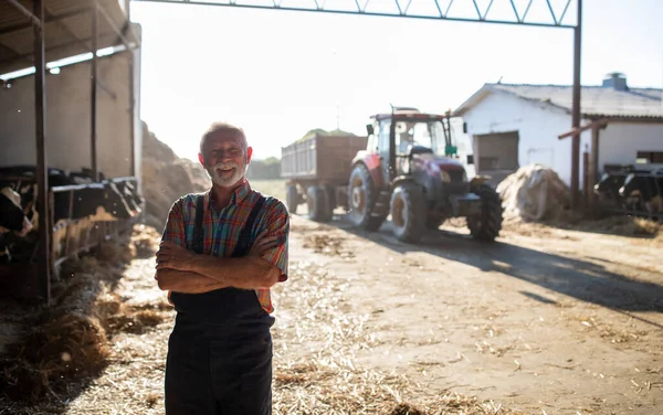Ritratto Agricoltore Anziano Con Braccia Incrociate Davanti Trattore Nel Fienile — Foto Stock