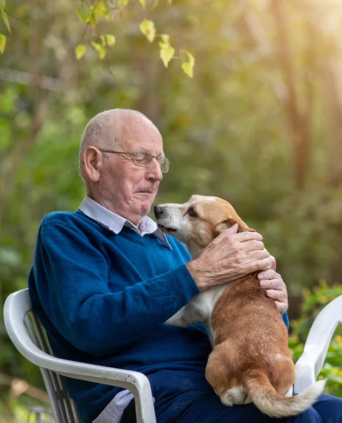 Hombre Mayor Sentado Jardín Abrazando Perro Lindo Regazo — Foto de Stock