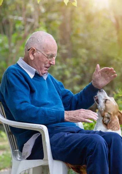 Senior Man Zit Het Park Spelen Met Zijn Schattige Hond — Stockfoto
