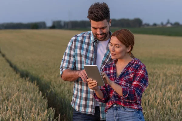 Bir erkek ve kadın gün batımında altın bir buğday tarlasında durup tabletle meşgul olurlar ve doğanın huzurunun tadını çıkarırlarken gülümsemelerini paylaşırlar.