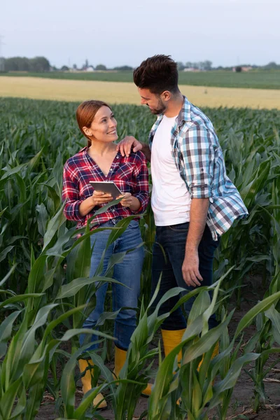 Çiftçilerin mutlu mesut birbirlerine baktıkları adam, kadın iş tabletini tutarken elini kadının omzuna koydu. 