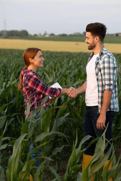 Akşamları yemyeşil alanda iki kişi tokalaşıyor. Sıcak günbatımı ışığı hoş bir şekilde parlıyor.
