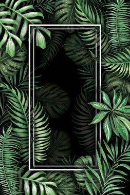 Parlak tropikal yapraklar ve egzotik çiçekler yüksek kaliteli ve detaylı çizimler..
