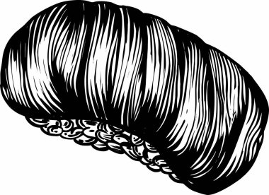 Suşi, rulo ve deniz ürünleri çizimi tarzında vektör çizimler. Tüm elementlerin yüksek kaliteli detaylı çizimi.