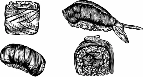 Διάνυσμα Εικονογραφήσεις Στυλ Σκίτσο Σούσι Ρολά Και Θαλασσινά Λεπτομερές Σχέδιο — Διανυσματικό Αρχείο