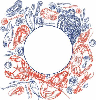 Değişik deniz ürünleri taslak şeklinde vektör çizimleri. Tüm elementlerin yüksek kaliteli detaylı çizimi.