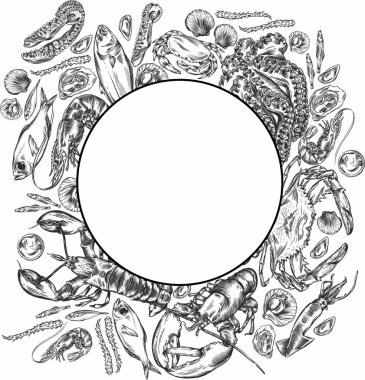 Değişik deniz ürünleri taslak şeklinde vektör çizimleri. Tüm elementlerin yüksek kaliteli detaylı çizimi.