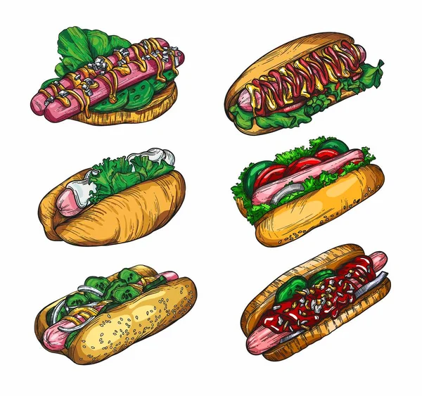 Velký Sadu Hot Dogů Kreslí Artline Stylu Vysoká Kresba Detailů — Stock fotografie
