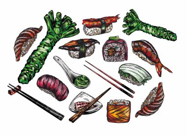 Büyük bir set rulo ve suşi çizimi. Sanat tarzında. Detayların ve elementlerin yüksek çizimi. Çin çubukları, wasabi, rulo, suşi, saşimi, zencefil..