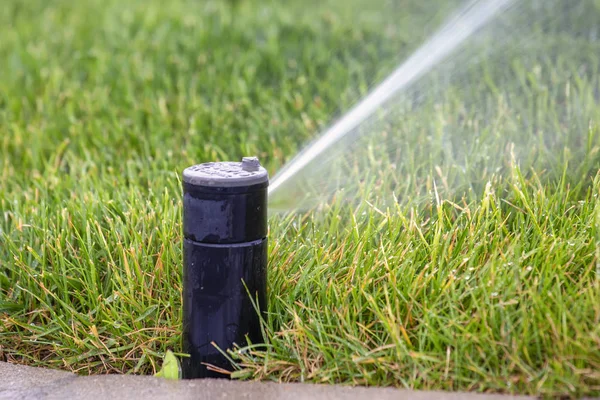 Lawn sprinkler head dispersing water on grass. Grass sprinkler spraying water on lawn close up.