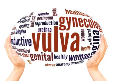Vulva word cloud hand sphere concept on white background clipart