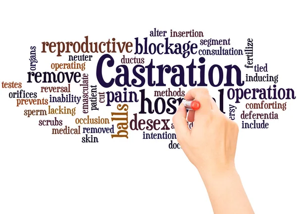 Castration word cloud hand writing concept on white background.