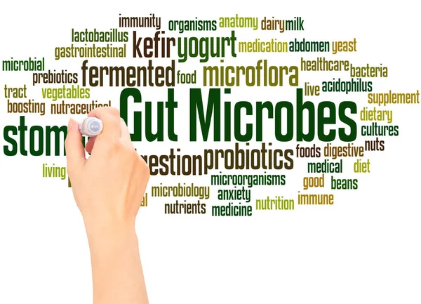 Gut Microbes Mot Nuage Écriture Concept Main Sur Fond Blanc — Photo