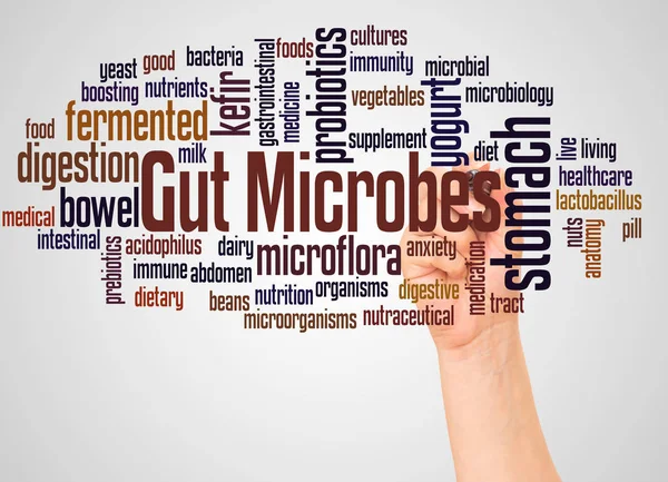Gut Microbes Palabra Nube Mano Con Concepto Marcador Sobre Fondo —  Fotos de Stock