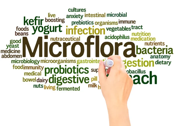 Mikroflora Wort Wolke Handschrift Konzept Auf Weißem Hintergrund — Stockfoto