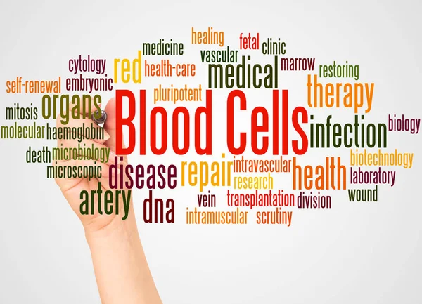 Komórek Krwi Słowo Cloud Ręka Markerem Koncepcja Białym Tle — Zdjęcie stockowe