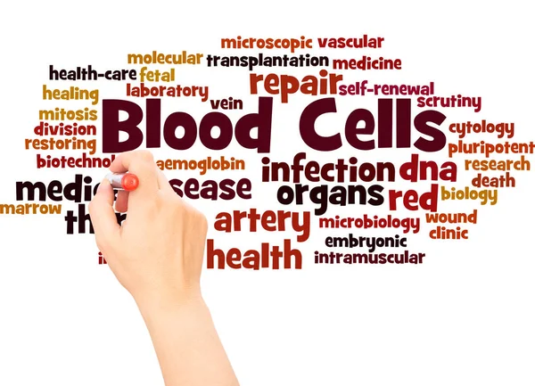 血细胞词云手文字概念在白色背景 — 图库照片